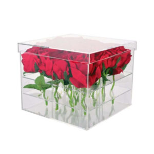 Acrylic Box-8