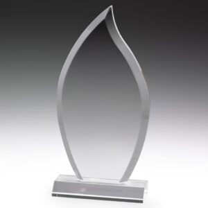 Acrylic Trophy-05
